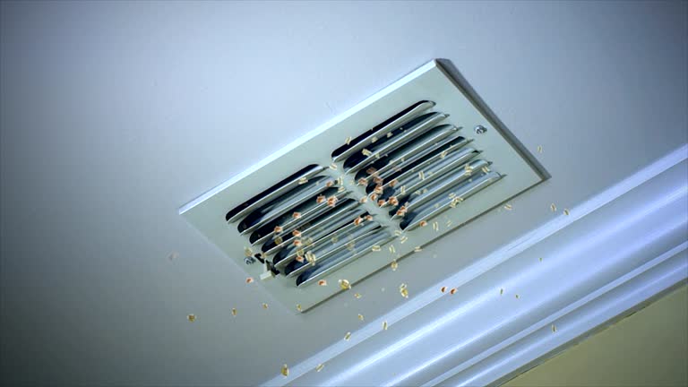 Best Local Air Duct Cleaning Services  in Gananda, NY